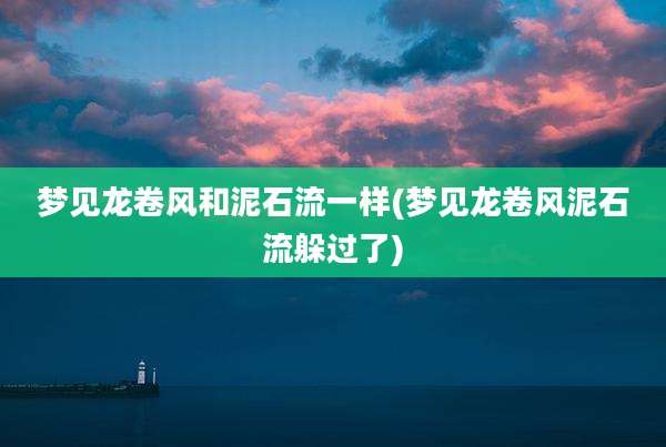 梦见龙卷风和泥石流一样(梦见龙卷风泥石流躲过了)