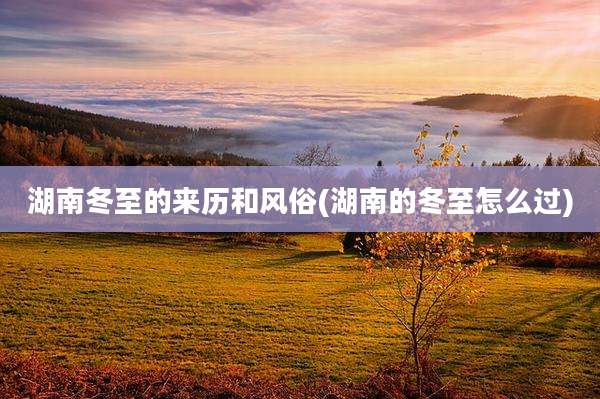 湖南冬至的来历和风俗(湖南的冬至怎么过)
