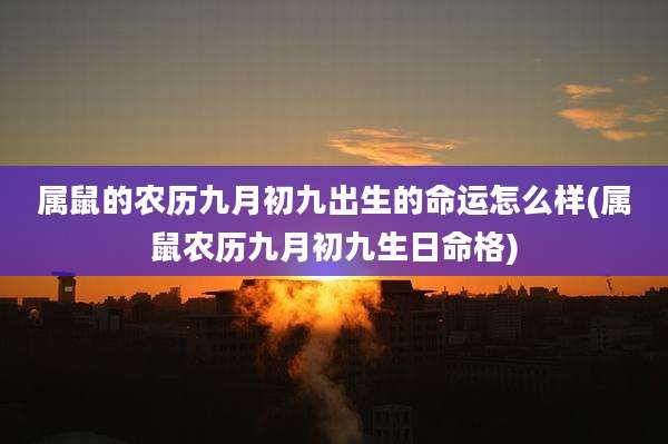 属鼠的农历九月初九出生的命运怎么样(属鼠农历九月初九生日命格)