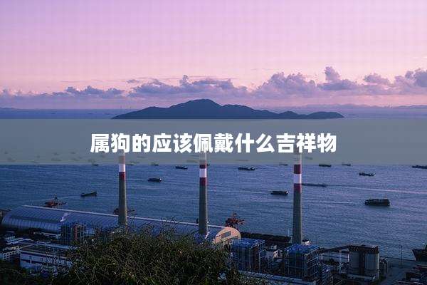 属狗的应该佩戴什么吉祥物