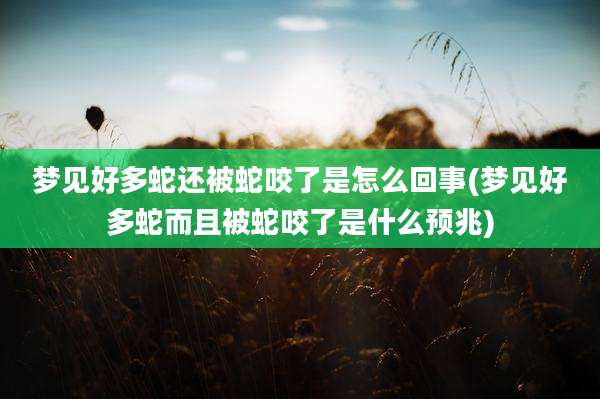 梦见好多蛇还被蛇咬了是怎么回事(梦见好多蛇而且被蛇咬了是什么预兆)
