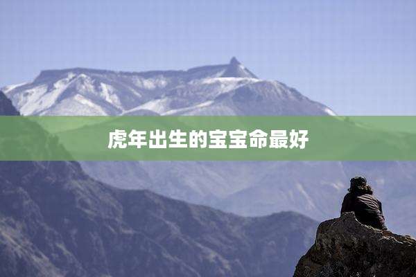 虎年出生的宝宝命最好