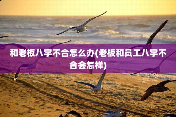 和老板八字不合怎么办(老板和员工八字不合会怎样)