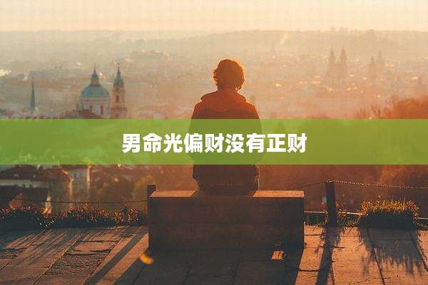 男命光偏财没有正财