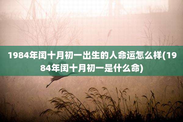 1984年闰十月初一出生的人命运怎么样(1984年闰十月初一是什么命)