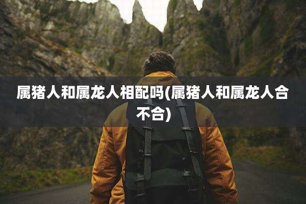 属猪人和属龙人相配吗(属猪人和属龙人合不合)