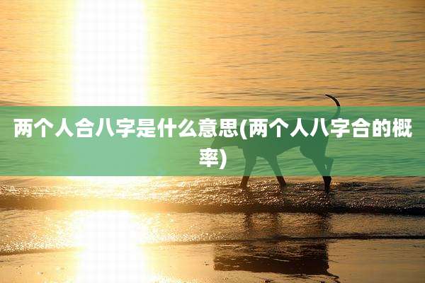 两个人合八字是什么意思(两个人八字合的概率)