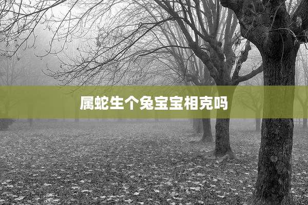 属蛇生个兔宝宝相克吗