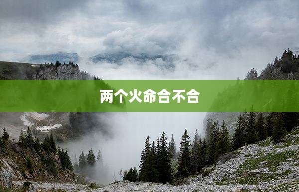 两个火命合不合