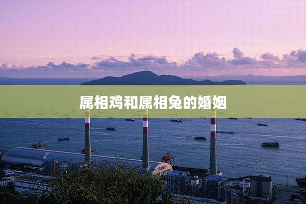 属相鸡和属相兔的婚姻