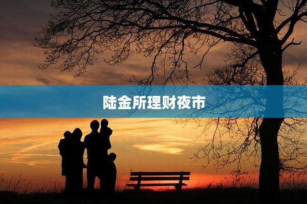 陆金所理财夜市