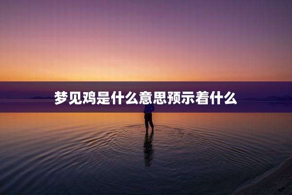 梦见鸡是什么意思预示着什么