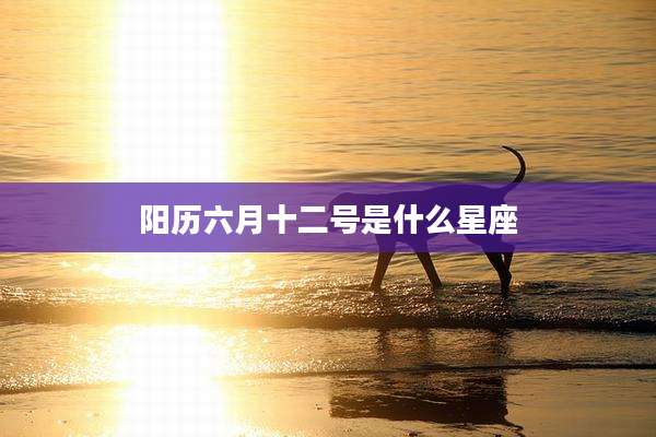 阳历六月十二号是什么星座