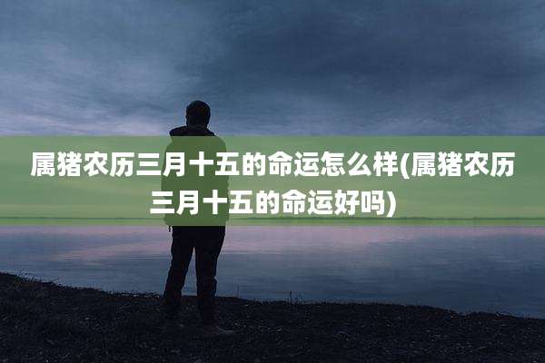 属猪农历三月十五的命运怎么样(属猪农历三月十五的命运好吗)