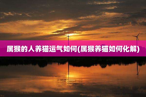 属猴的人养猫运气如何(属猴养猫如何化解)