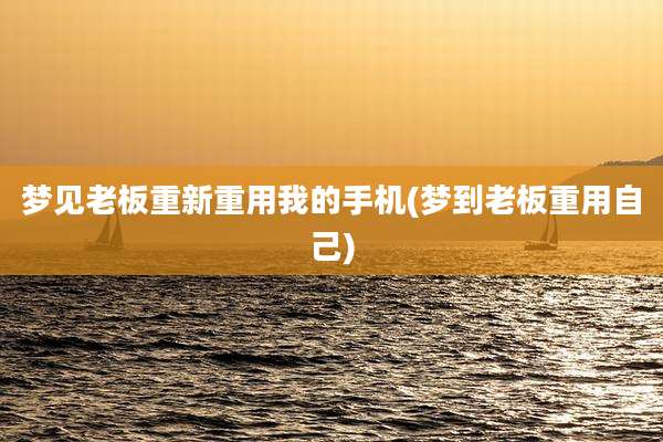 梦见老板重新重用我的手机(梦到老板重用自己)