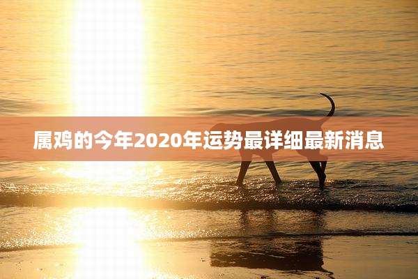 属鸡的今年2020年运势最详细最新消息