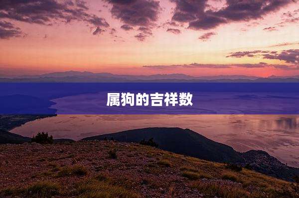 属狗的吉祥数