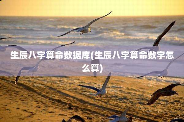 生辰八字算命数据库(生辰八字算命数字怎么算)