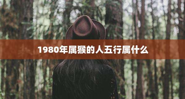 1980年属猴的人五行属什么
