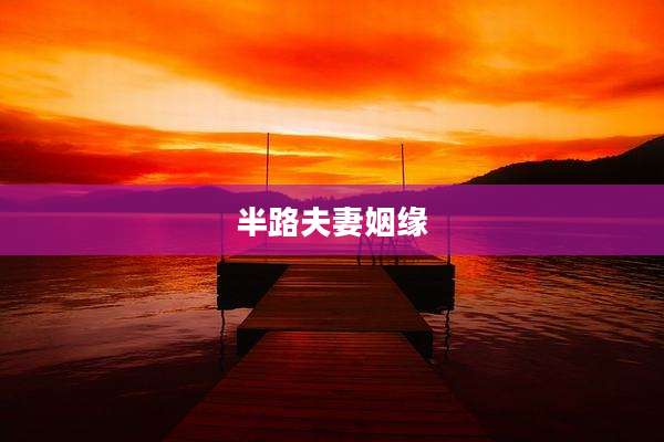 半路夫妻姻缘