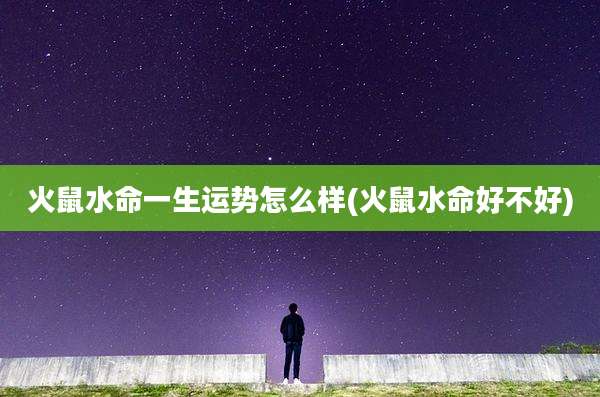 火鼠水命一生运势怎么样(火鼠水命好不好)