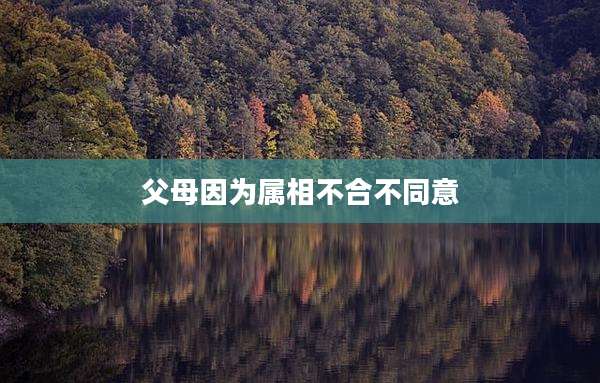 父母因为属相不合不同意