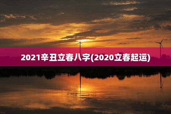 2021辛丑立春八字(2020立春起运)