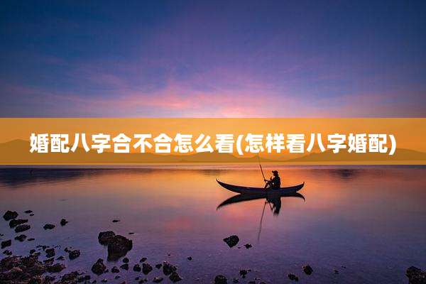 婚配八字合不合怎么看(怎样看八字婚配)
