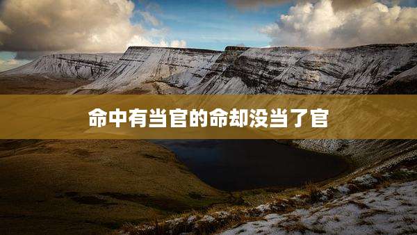 命中有当官的命却没当了官