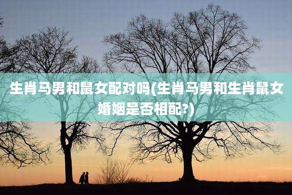 生肖马男和鼠女配对吗(生肖马男和生肖鼠女婚姻是否相配?)