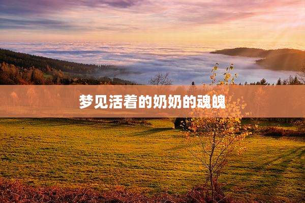 梦见活着的奶奶的魂魄