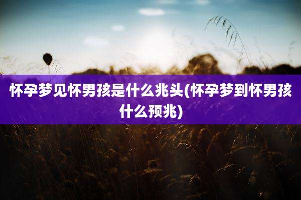 怀孕梦见怀男孩是什么兆头(怀孕梦到怀男孩什么预兆)