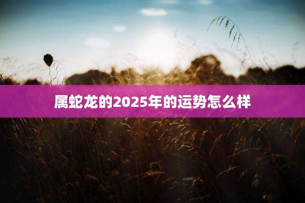 属蛇龙的2025年的运势怎么样