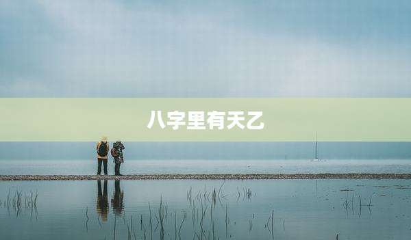 八字里有天乙