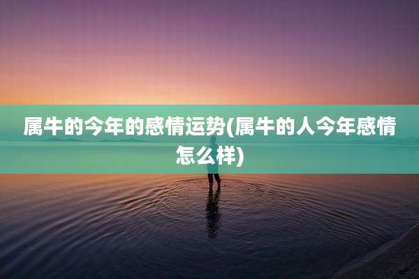 属牛的今年的感情运势(属牛的人今年感情怎么样)