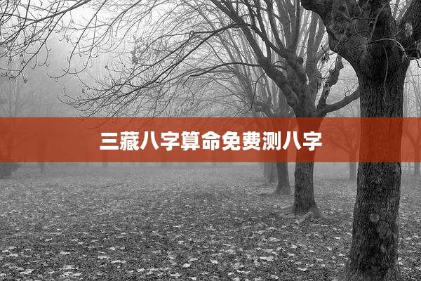 三藏八字算命免费测八字