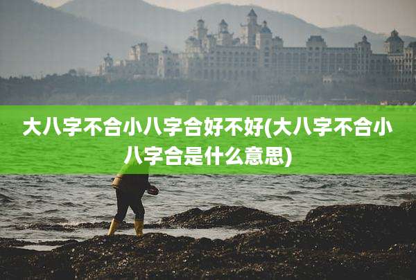大八字不合小八字合好不好(大八字不合小八字合是什么意思)