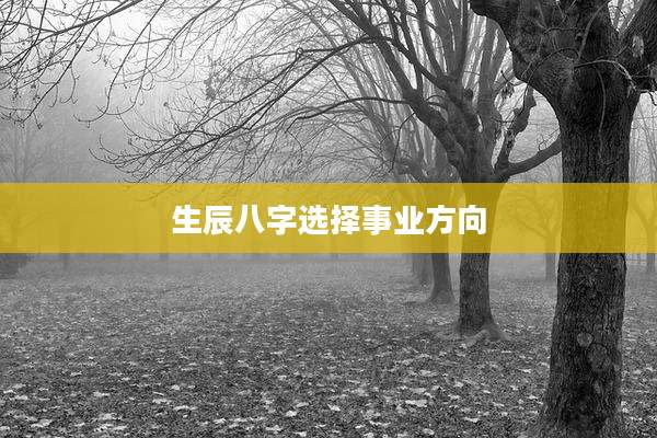 生辰八字选择事业方向