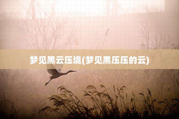 梦见黑云压境(梦见黑压压的云)