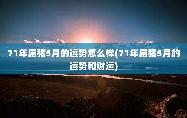 71年属猪5月的运势怎么样(71年属猪5月的运势和财运)