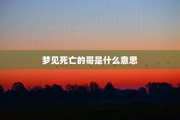 梦见死亡的哥是什么意思