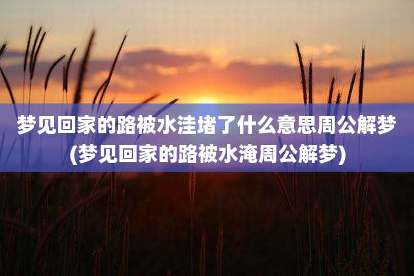 梦见回家的路被水洼堵了什么意思周公解梦(梦见回家的路被水淹周公解梦)