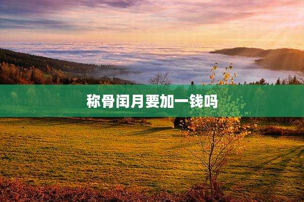 称骨闰月要加一钱吗