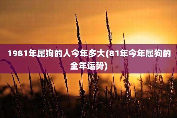 1981年属狗的人今年多大(81年今年属狗的全年运势)