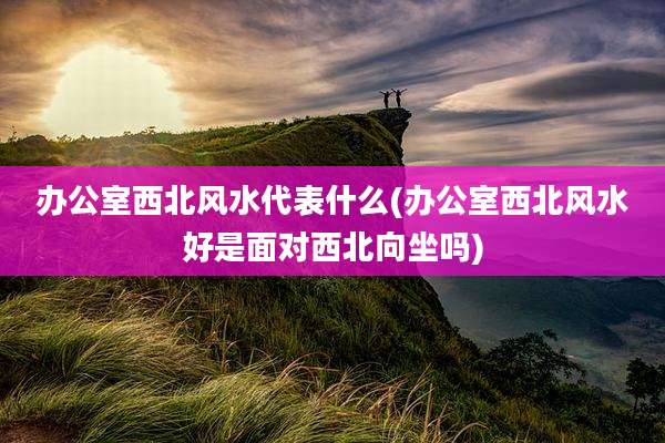 办公室西北风水代表什么(办公室西北风水好是面对西北向坐吗)