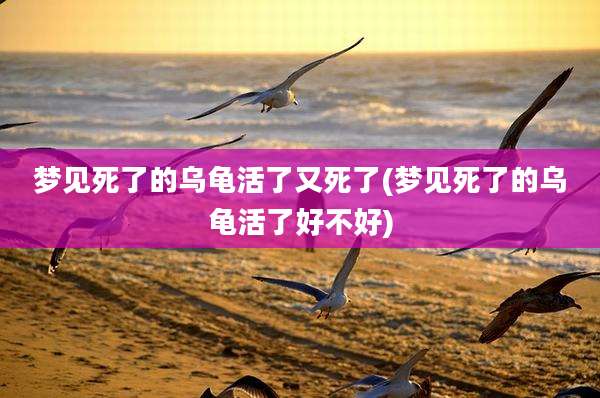 梦见死了的乌龟活了又死了(梦见死了的乌龟活了好不好)