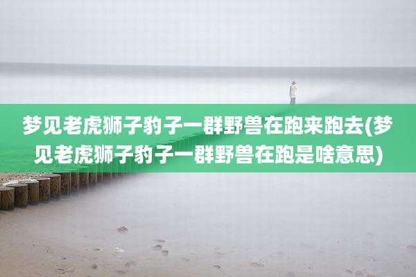 梦见老虎狮子豹子一群野兽在跑来跑去(梦见老虎狮子豹子一群野兽在跑是啥意思)