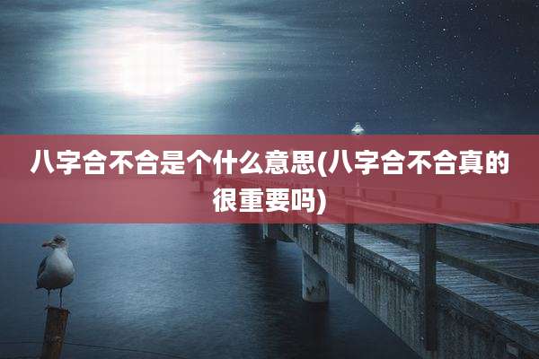 八字合不合是个什么意思(八字合不合真的很重要吗)