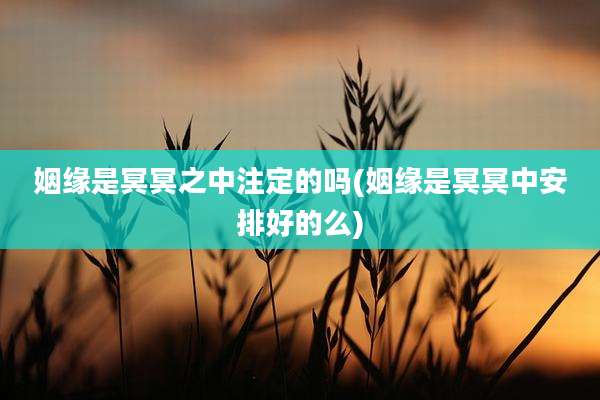 姻缘是冥冥之中注定的吗(姻缘是冥冥中安排好的么)